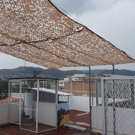 Oaxaca At Your Doorstep Apartment Екстериор снимка